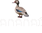 Ananaí Chalés